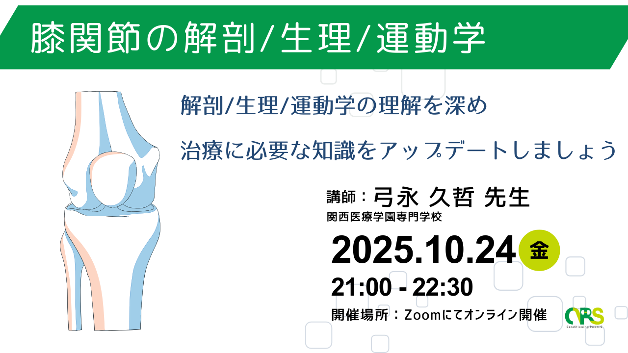 オンライン開催 膝関節の解剖/生理/運動学