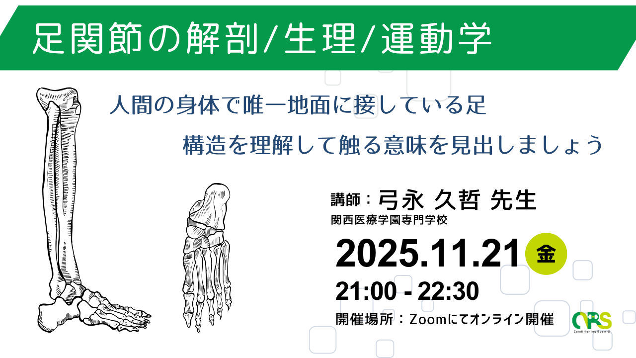 オンライン開催　足関節の解剖/生理/運動学