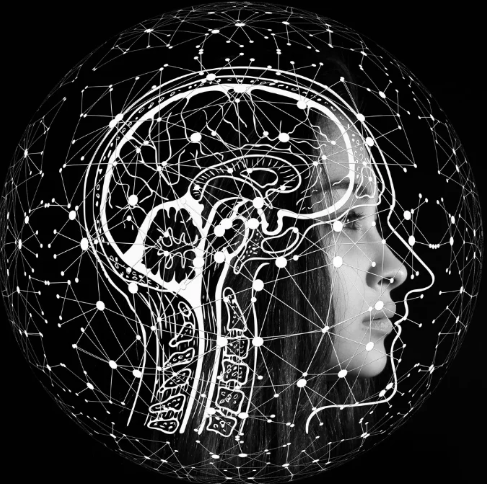 【吉尾雅春先生】脳卒中患者の歩行障害や上肢機能を脳のシステムと解剖学から考える|姿勢制御障害と歩行