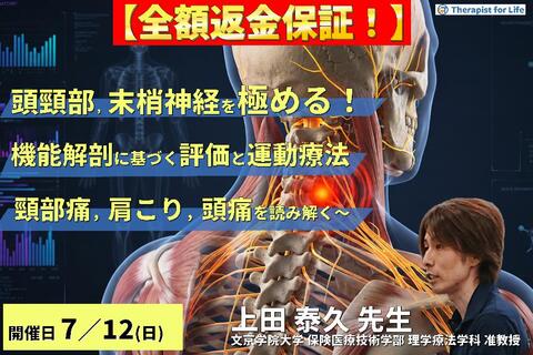 【※締切り間近】頭頸部・末梢神経のリハビリを極める！機能解剖に基づく評価と運動療法〜頸部痛・肩こり・頭痛の原因を読み解く〜～　講師：上田泰久先生