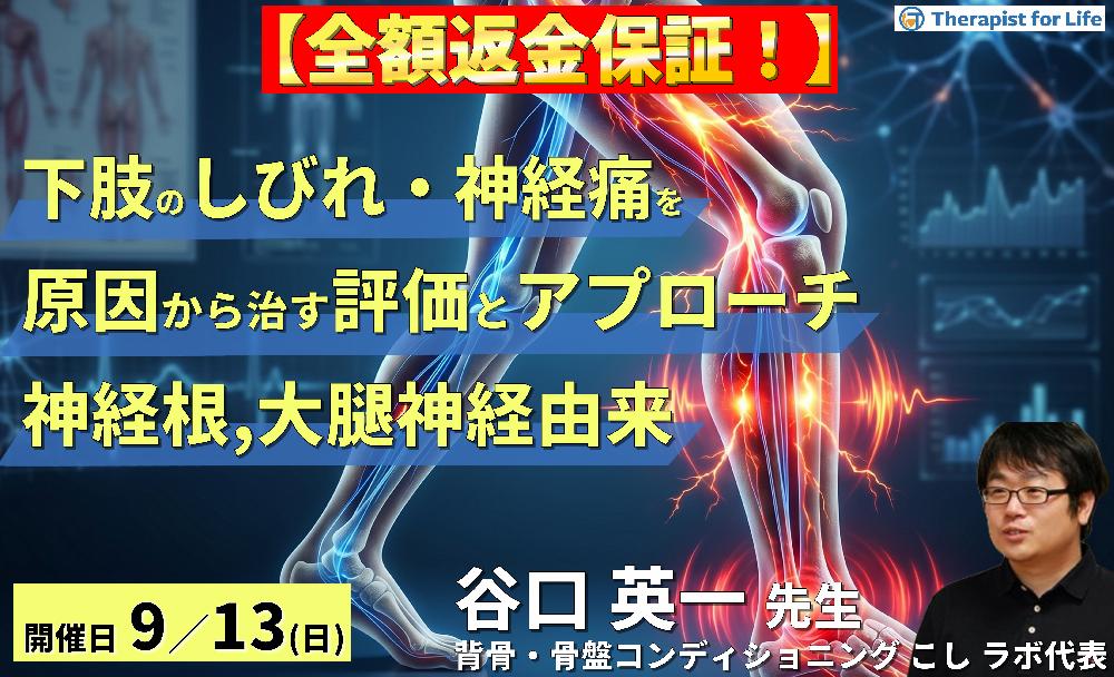 下肢のしびれ・神経痛を"原因"から治す評価とアプローチ〜神経根・大腿神経由来の下肢痛・痺れを読み解く〜 講師:谷口英一先生
