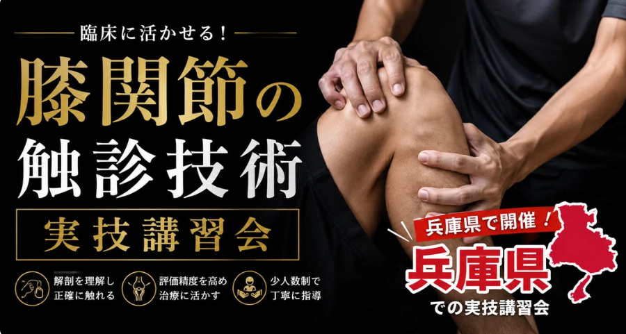 【兵庫県実技講習会】理学療法士・作業療法士のための膝関節の治療戦略｜伸展機能の機能解剖学的評価と治療