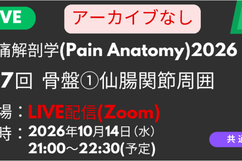 疼痛解剖学2026<LIVE配信>骨盤①：仙腸関節周囲の神経触診